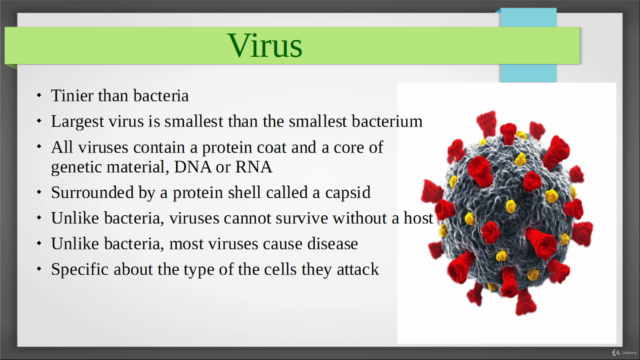 Introduction to Virology - Screenshot_02
