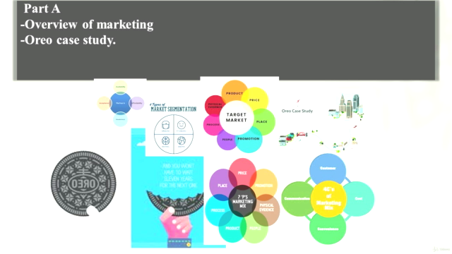 Marketing Plan: Systematic Business Transformation – Screenshot 3