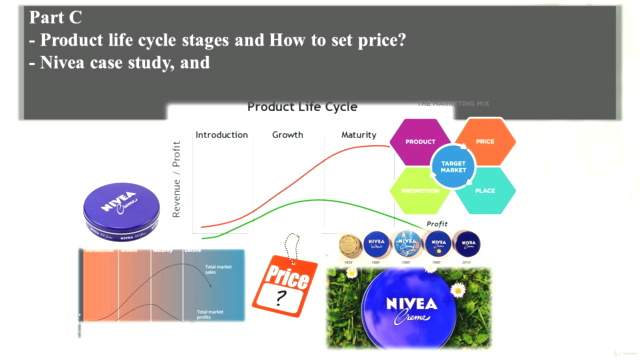 Marketing Plan: Systematic Business Transformation – Screenshot 4