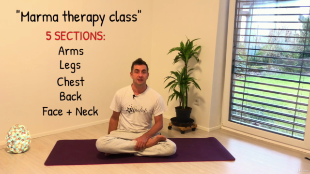 Ayurvedic Massage Masterclass - The Marma points – Screenshot 4