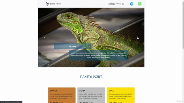 Python + Django: с нуля до коммерческих приложений – Screenshot 2