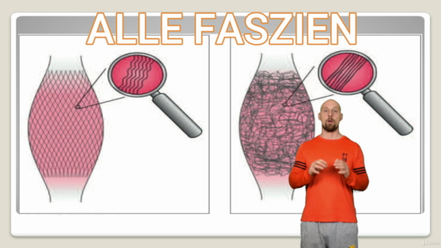 Faszienrollmassage - Der Faszientraining Komplettkurs – Screenshot 2