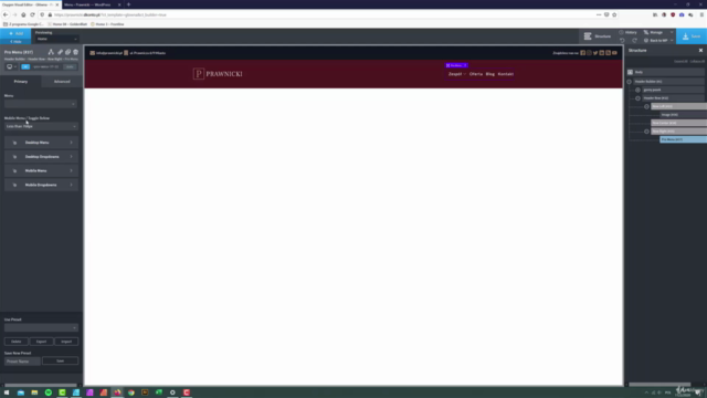 Jak tworzyć profesjonalne strony www bez kodowania – Screenshot 2