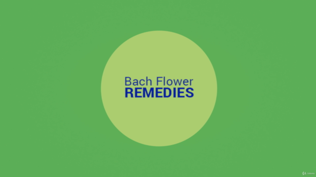 Master of Bach Flower Therapy – Screenshot 3