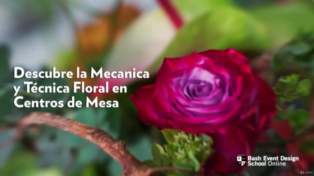 Curso de Arreglos Florales y Diseños de Mesa para Bodas – Screenshot 3