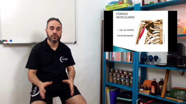 Curso de Masaje de Espalda Muscular y Relajante – Screenshot 2