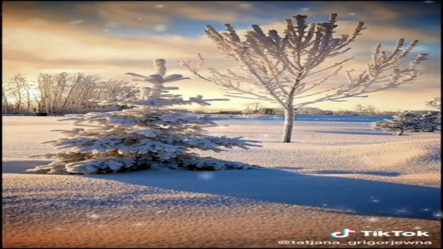 Russian as a foreign language. History and culture of Russia – Screenshot 2
