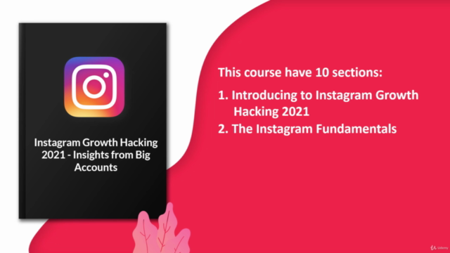 Instagram GROWTH Hacking 3.0 2022: Big Accounts INSIGHTS - Screenshot_02