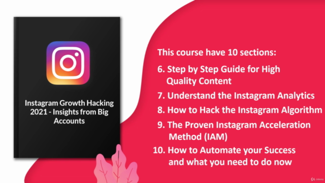 Instagram GROWTH Hacking 3.0 2022: Big Accounts INSIGHTS - Screenshot_04