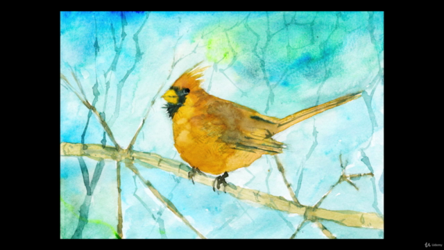 Painting Birds in Watercolor: Ultimate Guide for Beginners - Screenshot_02