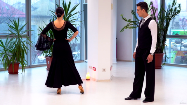 Master the Slow Waltz Basics – Screenshot 2