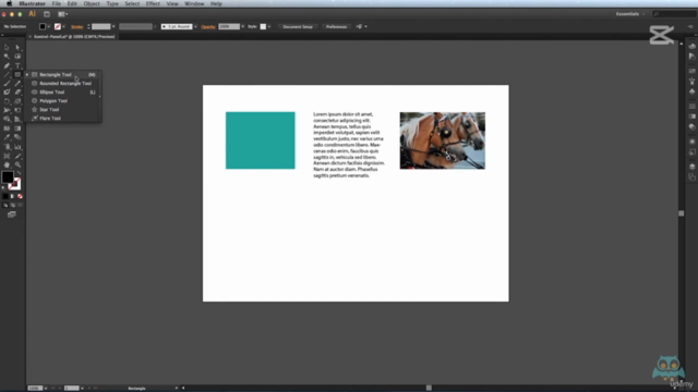 Illustrator, Photoshop ve Indesign Kursu / SERTİFİKALI – Screenshot 3