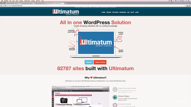 Use Ultimatum and Wordpress To Create Fantastic Webpages - Screenshot_01