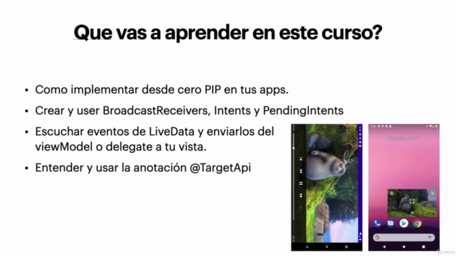 Implementar Picture-In-Picture en una app para Android – Screenshot 2