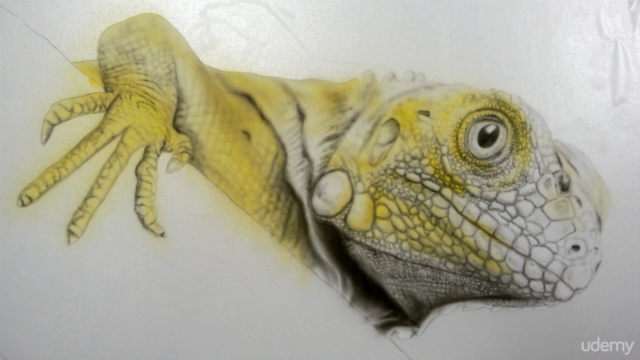 Mit Airbrush Wildlife Tiermotive photorealistisch malen – Screenshot 2