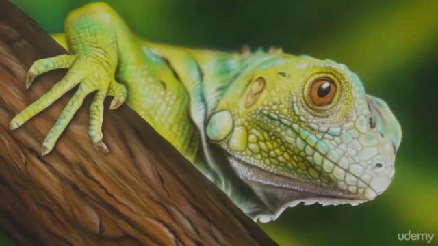 Mit Airbrush Wildlife Tiermotive photorealistisch malen – Screenshot 3