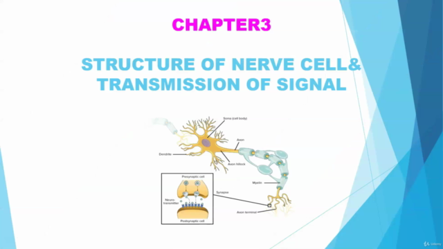EMG basics for Technology – Screenshot 3