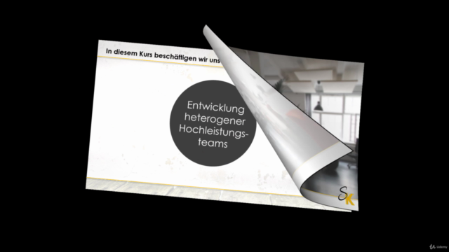 Entwicklung heterogener Hochleistungsteams inkl. Shortbook – Screenshot 1