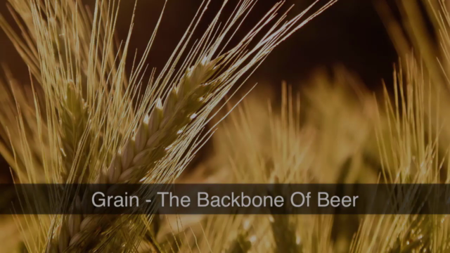 Learn How To Brew Beer At Home In 5 Easy Steps – Screenshot 1