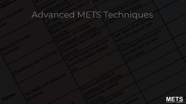 Introduction to METS the Minimal Essential Testing Strategy – Screenshot 4