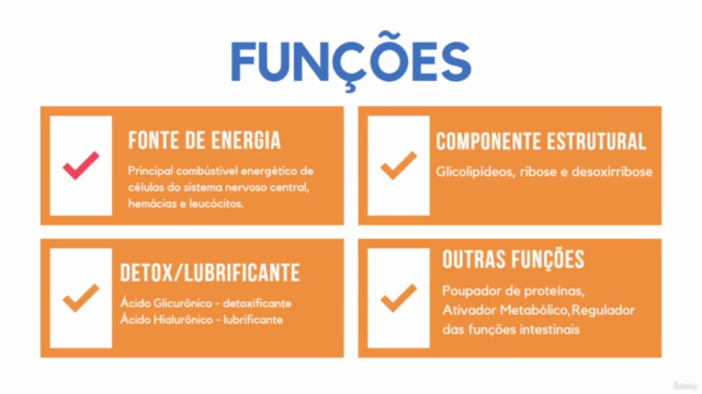 Reeducação Alimentar – Screenshot 2