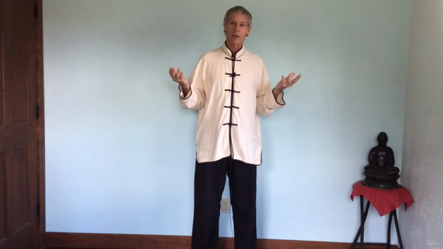 Swimming Dragon Qigong – Screenshot 3