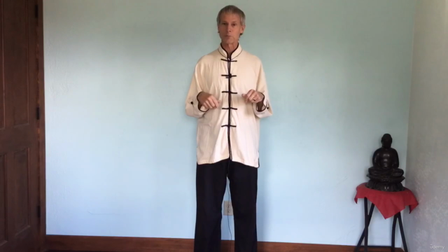 Swimming Dragon Qigong – Screenshot 4