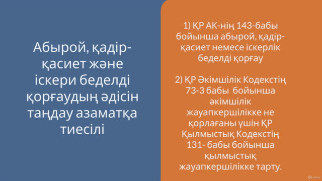 Диффамациядан қорғауға арналған практикалық нұсқаулық – Screenshot 4