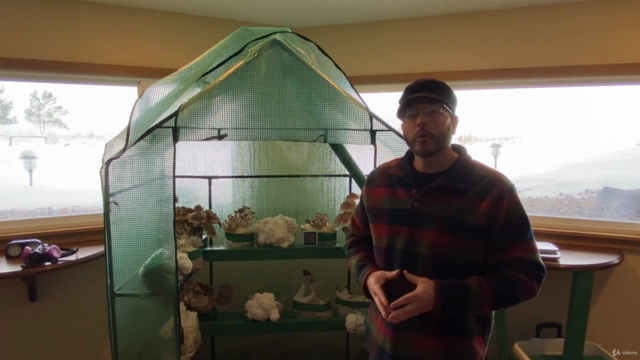 How To Grow Mushrooms At Home Indoors – Screenshot 1