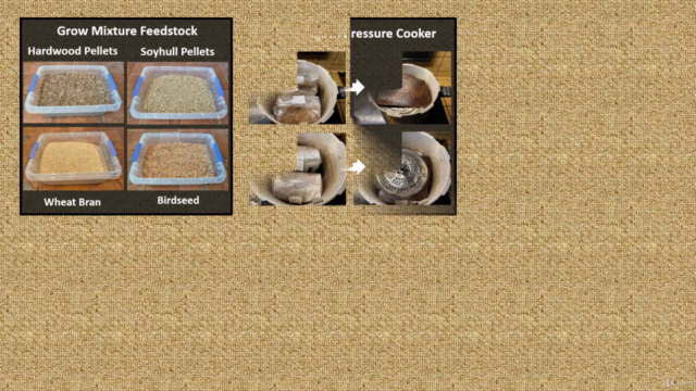 How To Grow Mushrooms At Home Indoors – Screenshot 3