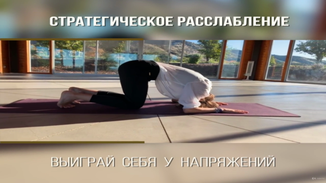 ОСНОВЫ ОСТЕО ЙОГИ – Screenshot 2