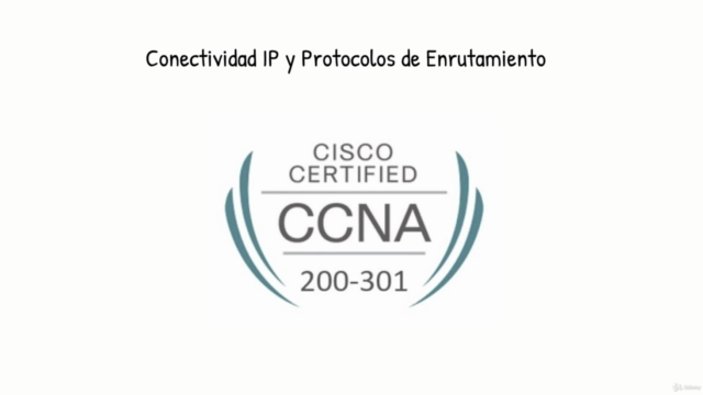 CCNA 200-301 Conectividad IP y Protocolos de Ruteo – Screenshot 2