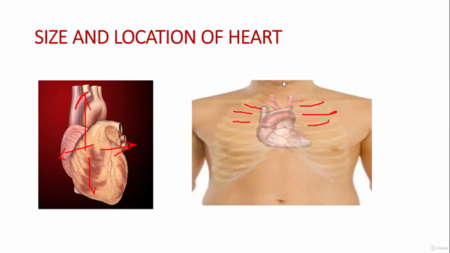 Explore Biology @ Dr bhargavidade – Screenshot 1