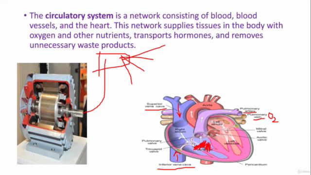 Explore Biology @ Dr bhargavidade – Screenshot 2