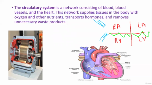 Explore Biology @ Dr bhargavidade – Screenshot 3
