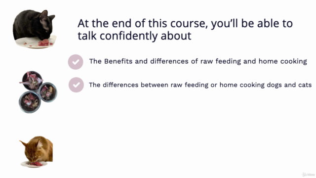 Pet Nutrition Diploma + Bonus Pet First Aid Manual – Screenshot 1