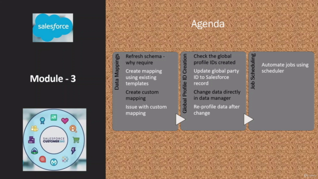 Salesforce Customer 360 ( C360 ) Data Manager Zero to Hero – Screenshot 2