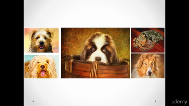 Digital Pet Paintings Using Photoshop  - Screenshot_04