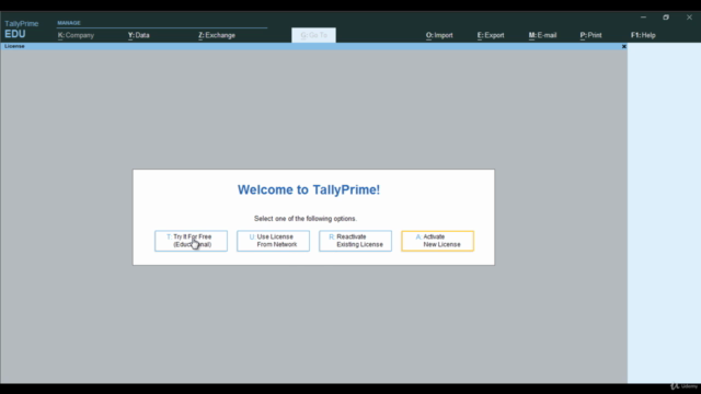 TallyPrime + Micosoft Excel Training – Screenshot 4