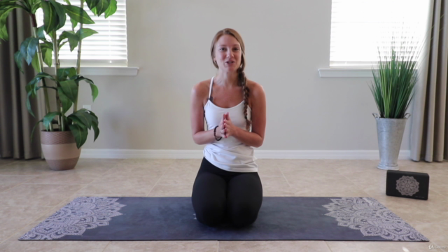 Yoga for Beginners: Gentle Vinyasa Flow – Screenshot 2