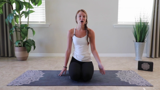 Yoga for Beginners: Gentle Vinyasa Flow – Screenshot 4
