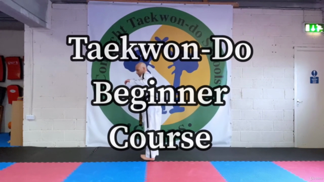 Taekwon-Do (ITF) White Belt Programme – Screenshot 1