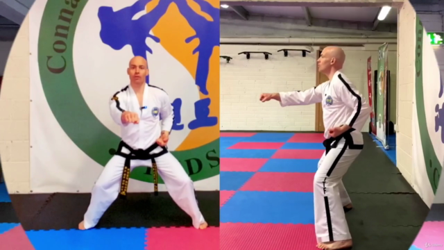 Taekwon-Do (ITF) White Belt Programme – Screenshot 2
