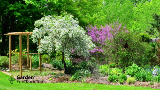 Landscape Design Ideas - Create a Better Looking Garden – Screenshot 3