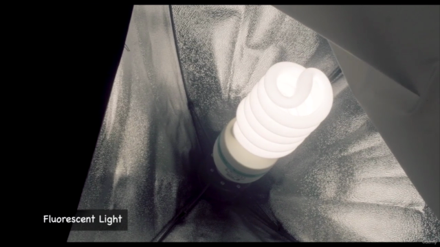 Video Lighting for Beginners: A Complete Guide to Lighting – Screenshot 1
