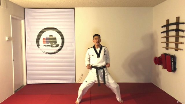 TAEKWONDO - White Belt Course – Screenshot 1