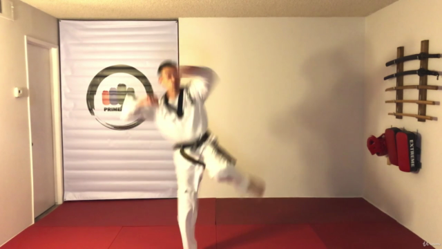 TAEKWONDO - White Belt Course – Screenshot 2