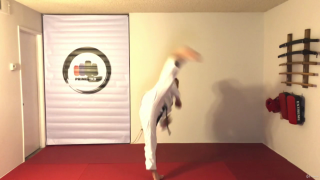 TAEKWONDO - White Belt Course – Screenshot 3