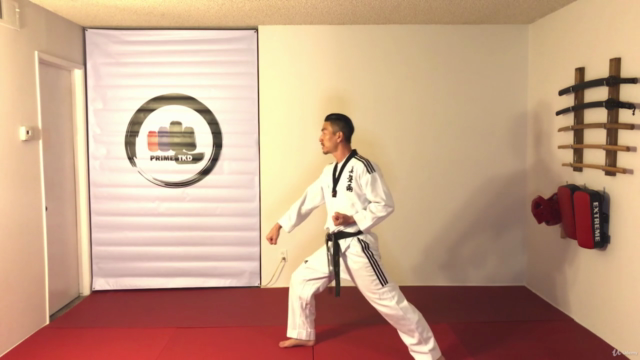 TAEKWONDO - White Belt Course – Screenshot 4