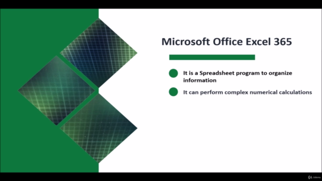 Excel Microsoft Office 365 Beginner course – Screenshot 2